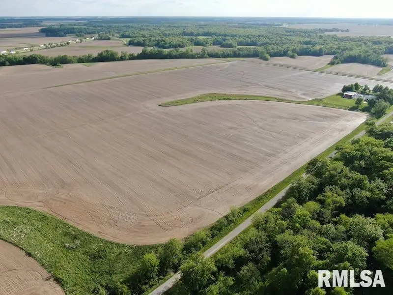 County Road 850 N Road, Casey, IL 62420 - #2