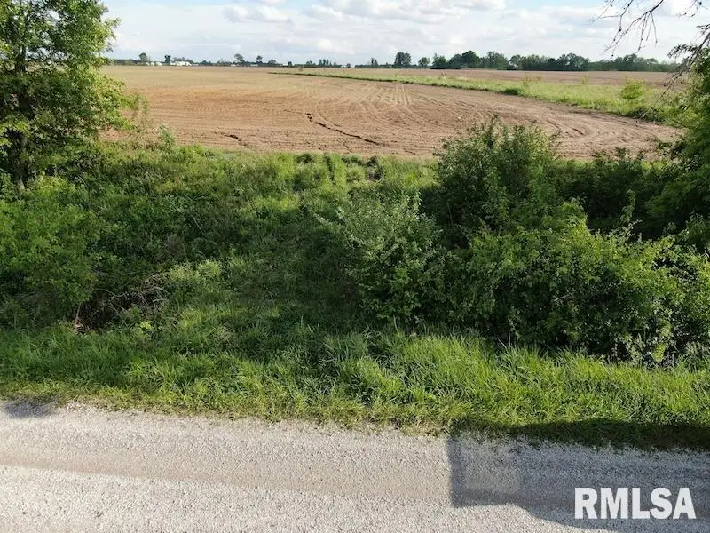 County Road 850 N Road, Casey, IL 62420 - #3