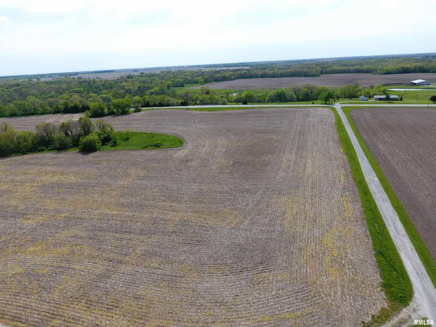 16187 Caldwell Lane, Industry, IL 61440 - #2