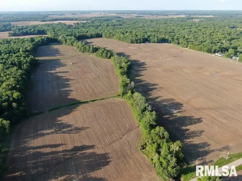 XXX Red Hill Lane, Sumner, IL 62466 - #2
