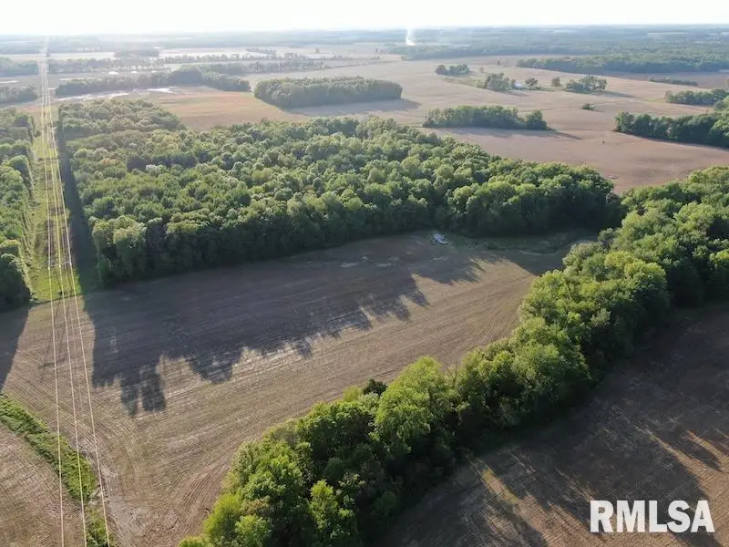 XXX Red Hill Lane, Sumner, IL 62466 - #3