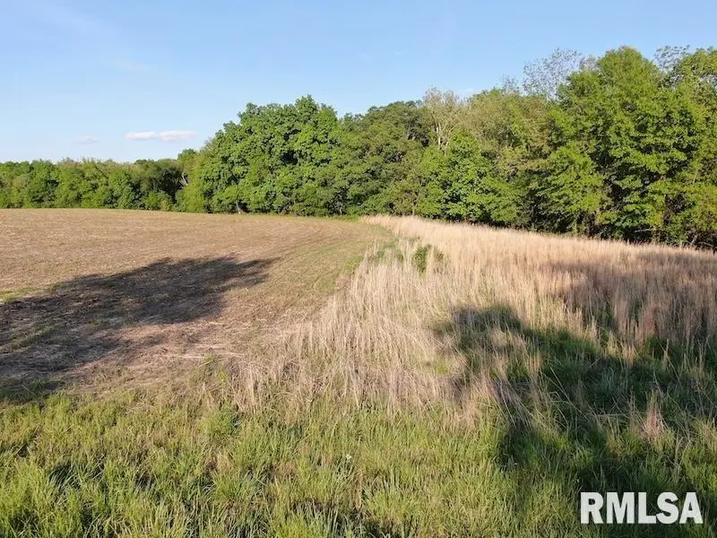 4 H Road, Sumner, IL 62466 - #3