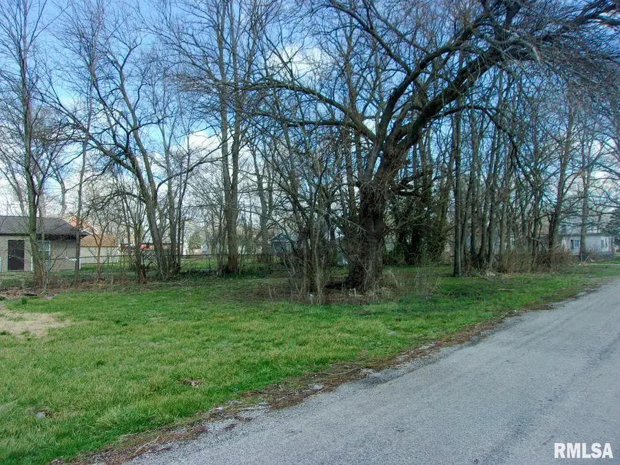 1530 S 17th Street, Springfield, IL 62703 - #2