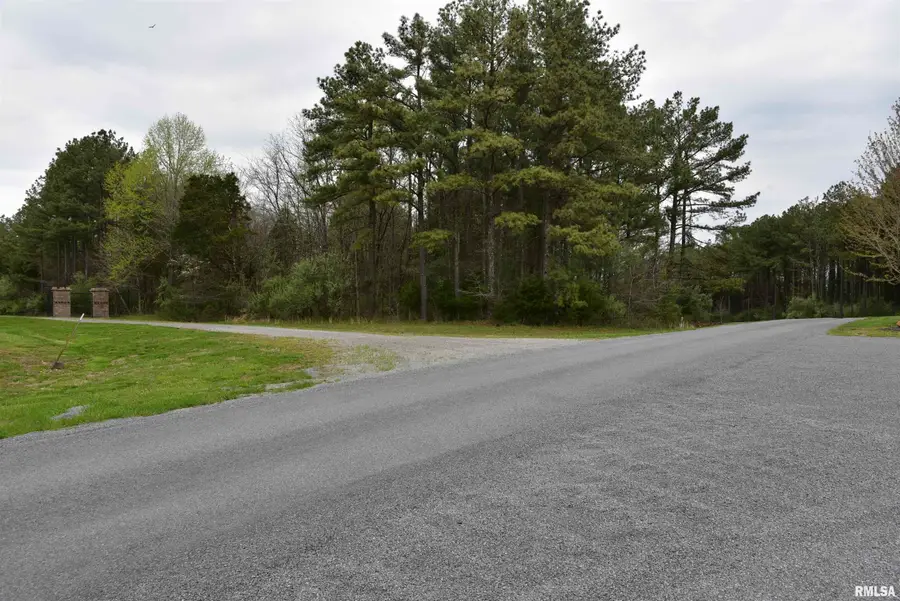 000 Parrish Ridge Road, Goreville, IL 62939 - #2