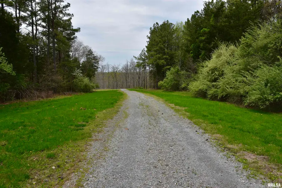000 Parrish Ridge Road, Goreville, IL 62939 - #3