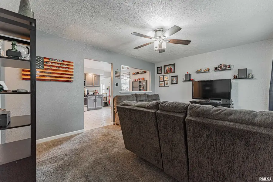 728 Bryan Avenue, Lincoln, IL 62656 - #3