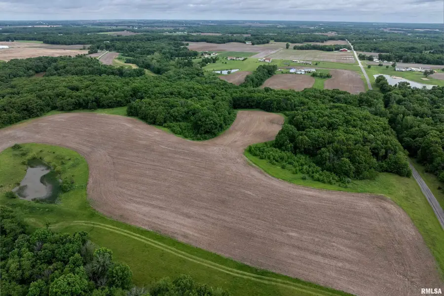 60 acres Se Section 8 Liberty Twp, Liberty, IL 62347 - #2