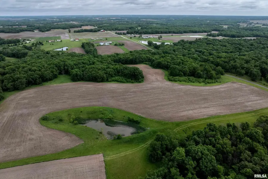 60 acres Se Section 8 Liberty Twp, Liberty, IL 62347 - #3