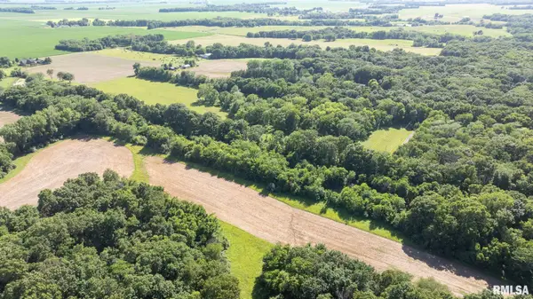 8543 Frey Road, Pleasant Plains, IL 62677