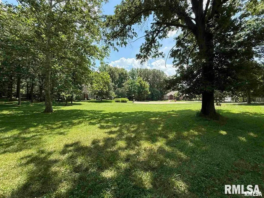 17 Country Club Meadows Court, Riverton, IL 62561 - #2