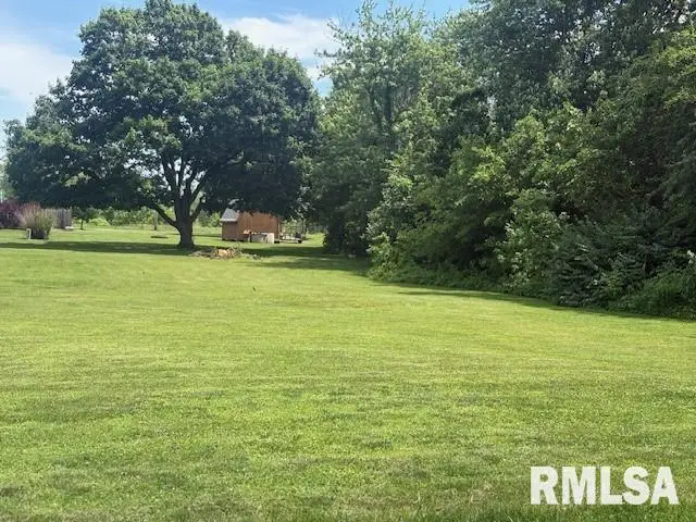1118 Lee Court, Taylorville, IL 62568 - #1