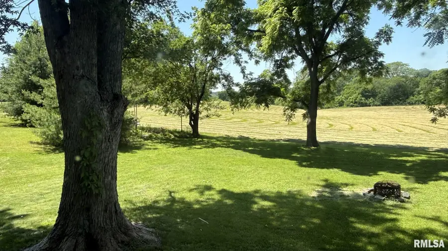 6011 Grigsby Lane, Pleasant Plains, IL 62677 - #2
