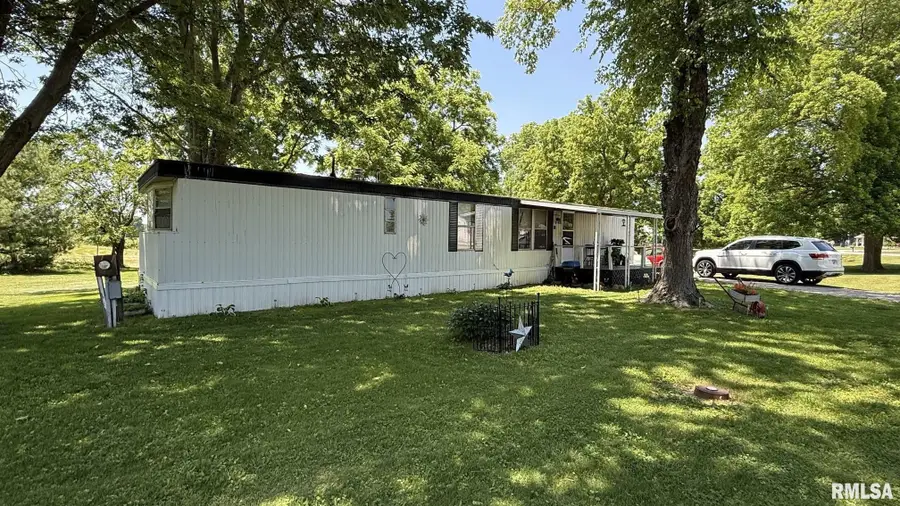 6011 Grigsby Lane, Pleasant Plains, IL 62677 - #3