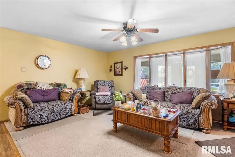 1208 Pine Lane, Auburn, IL 62615 - #2