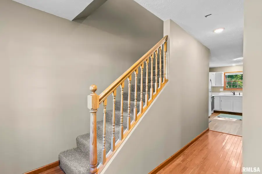 117 Hoelting Street, Farmersville, IL 62533 - #3