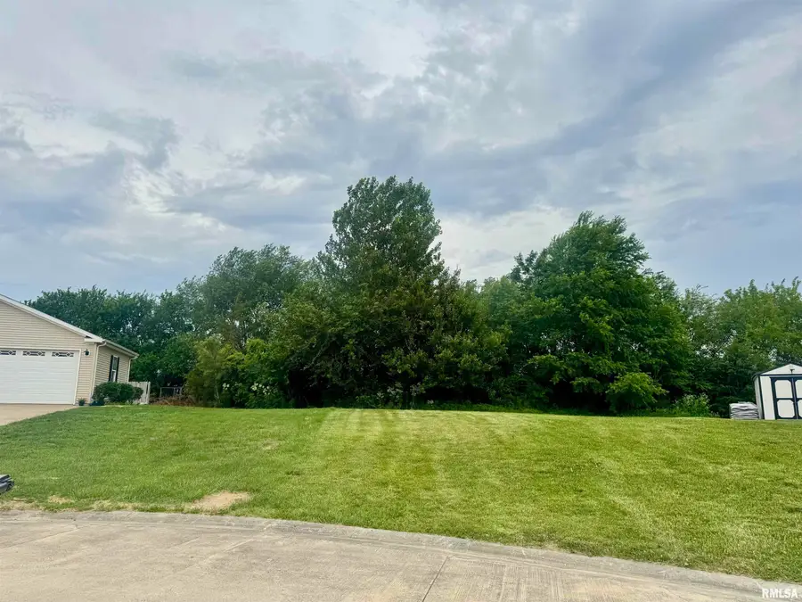 153 Parkway Drive, Chatham, IL 62629 - #3