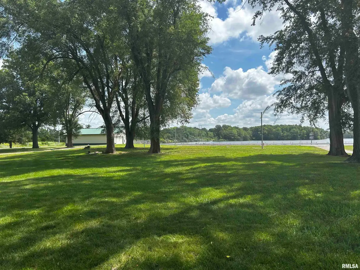 106 Mason Avenue, Tovey, IL 62570 - #1