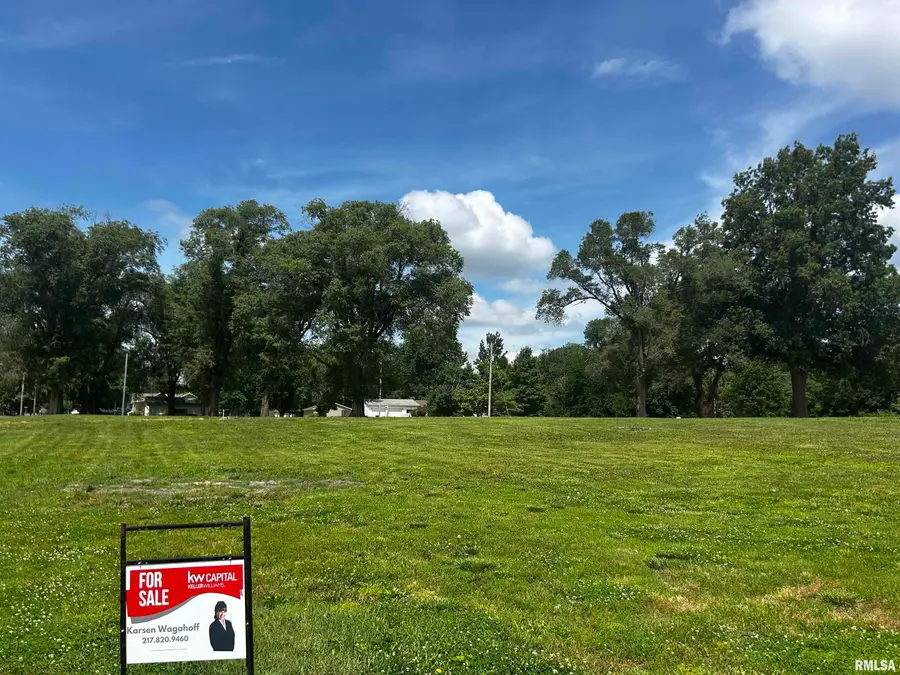 106 Mason Avenue, Tovey, IL 62570 - #3