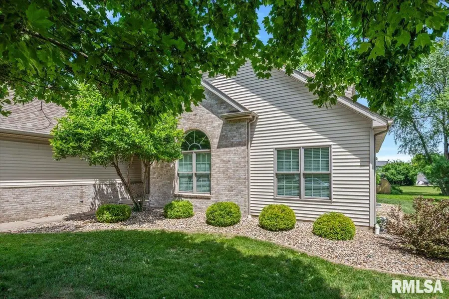 114 Winter Park Drive, Chatham, IL 62629 - #3