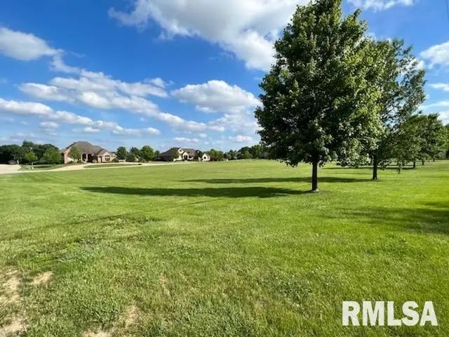 804 Prairie Lake Drive, Sherman, IL 62684 - #1