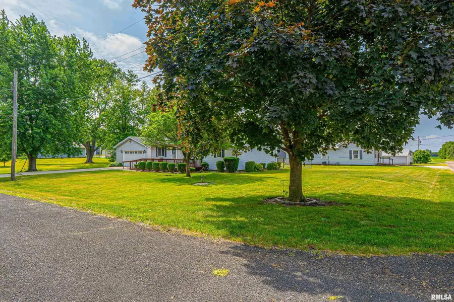 602 E 10th Street, Delavan, IL 61734 - #3