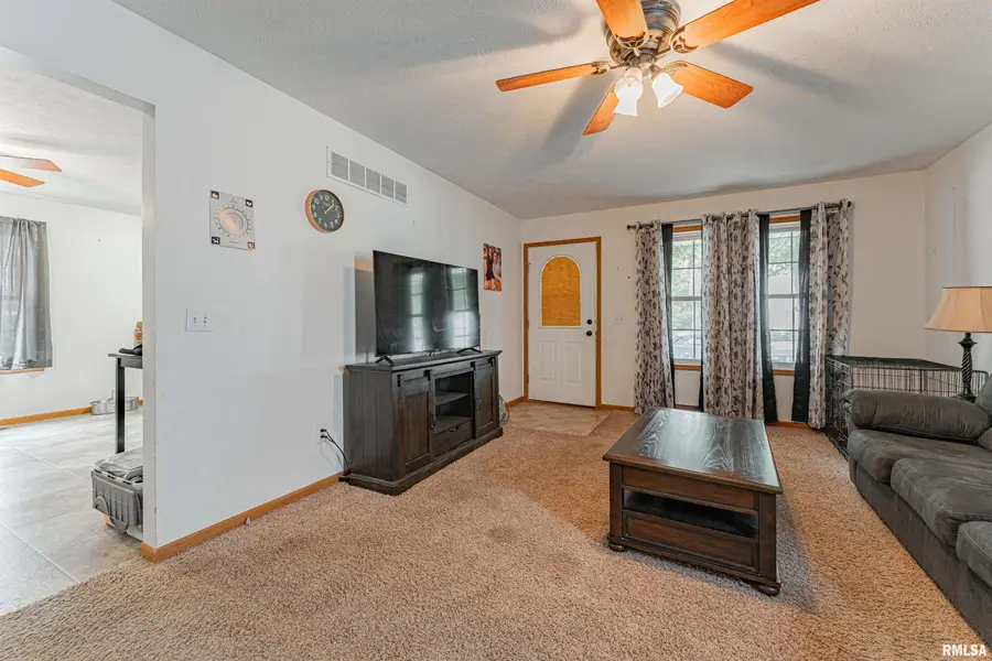 706 4th Street, Lincoln, IL 62656 - #3