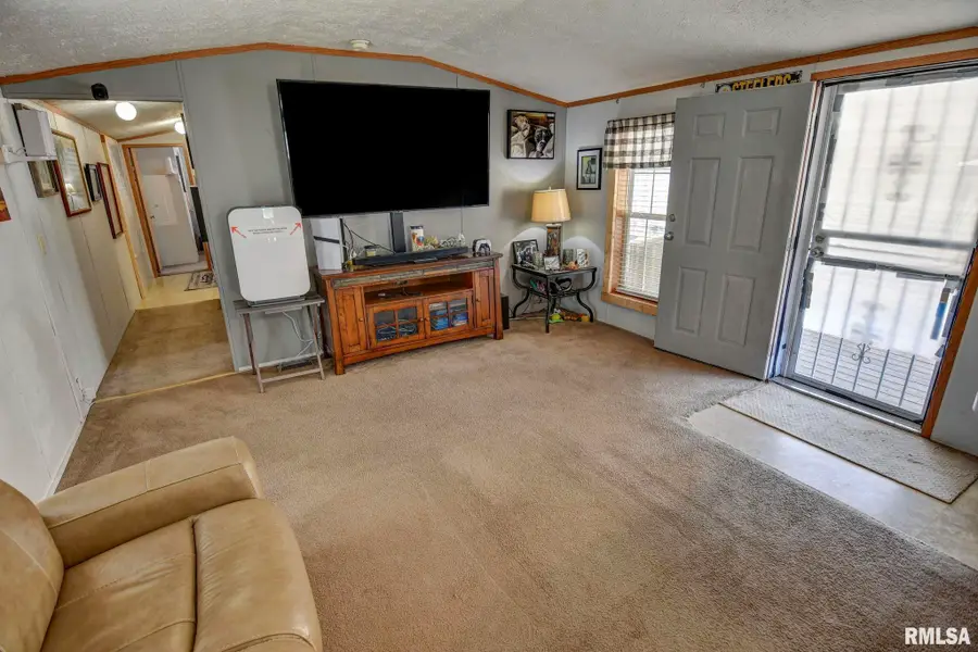 225 Parker Street, Bulpitt, IL 62517 - #3