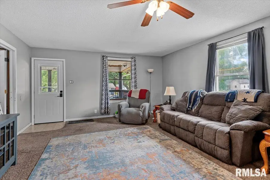 409 S Sherman Street, Pana, IL 62557 - #3