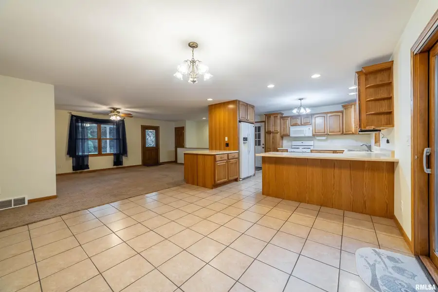 20573 250th Street, Lewistown, MO 63452 - #2