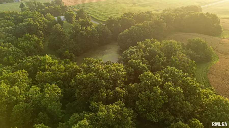 001 Preston Hollow Road, Murrayville, IL 62668 - #2