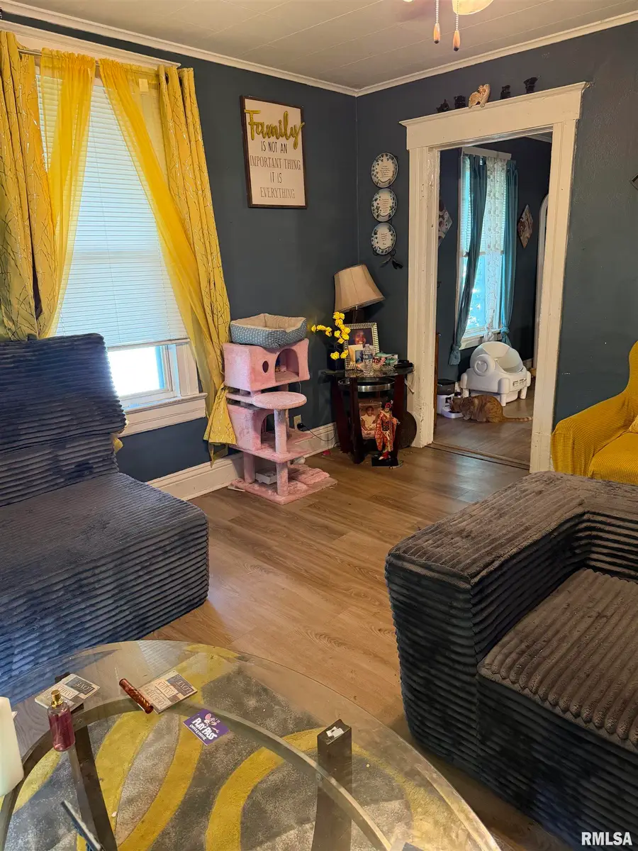 1707 E Moffat Avenue, Springfield, IL 62702 - #3