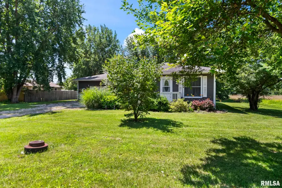 23585 Clemens Road, Athens, IL 62613 - #3