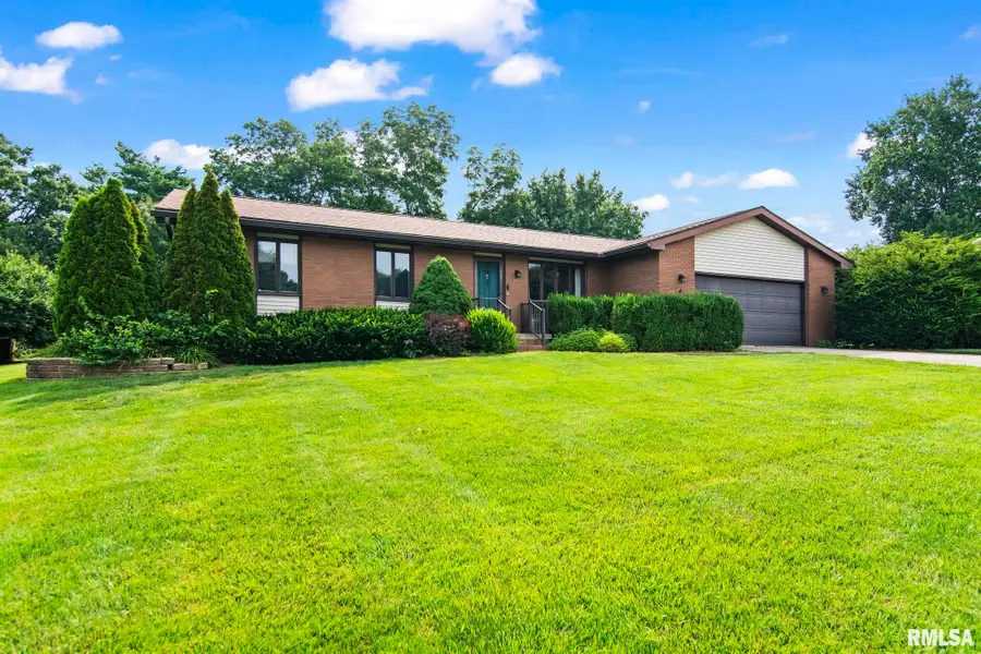 22 Meander Pike Street, Chatham, IL 62629 - #3