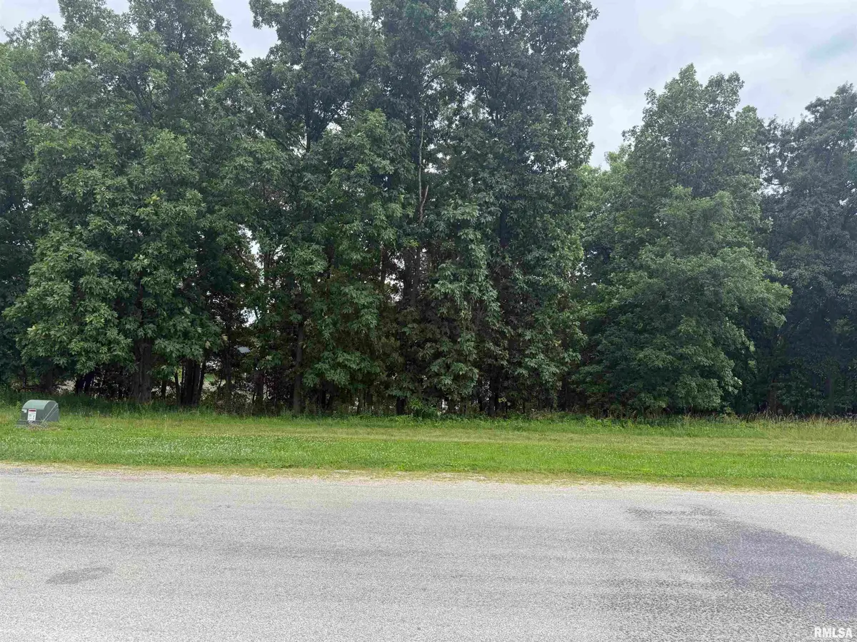 180 Beyers Lake Road, Pana, IL 62557 - #1