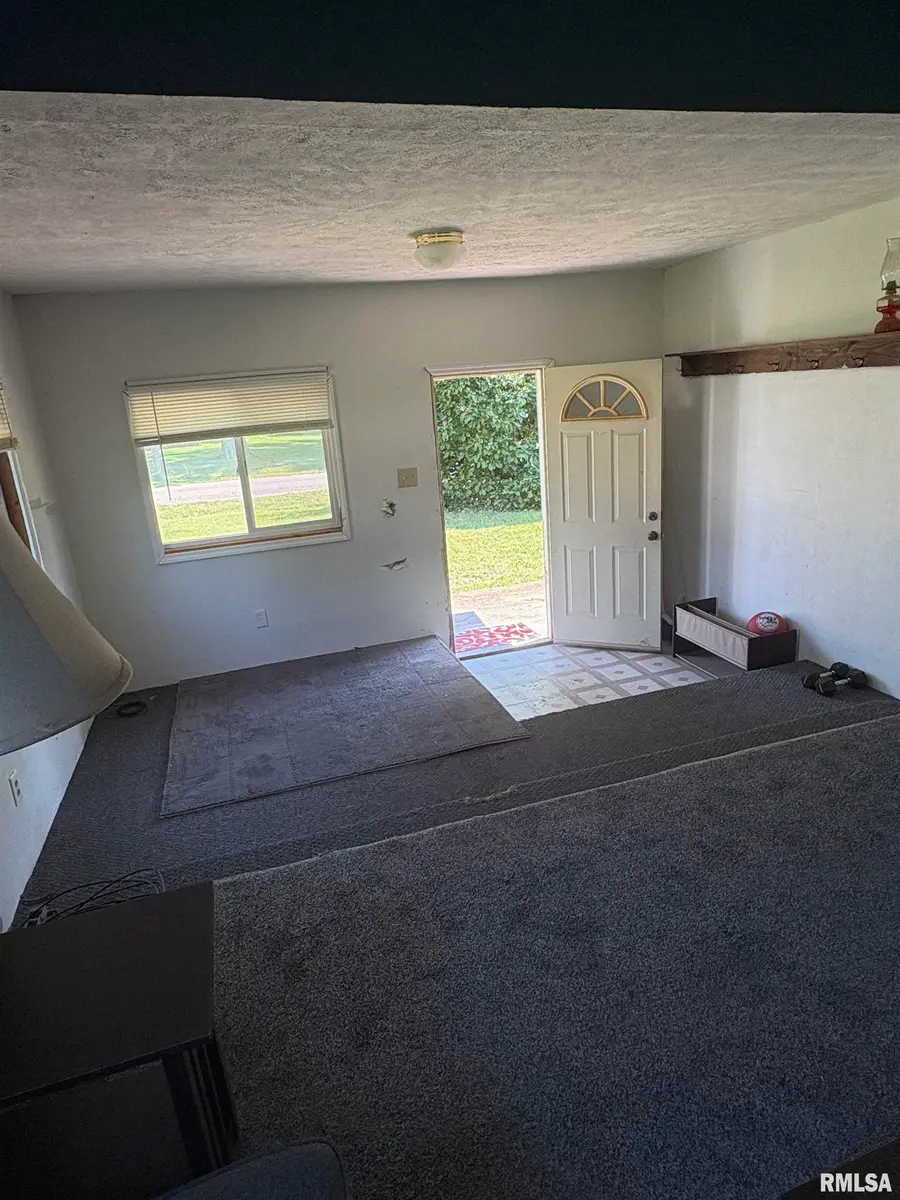 387 E Prairie Street, Waverly, IL 62692 - #3