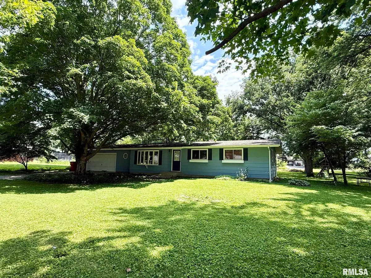 17122 River View Road, Petersburg, IL 62675 - #1