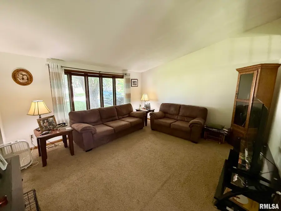 17122 River View Road, Petersburg, IL 62675 - #3