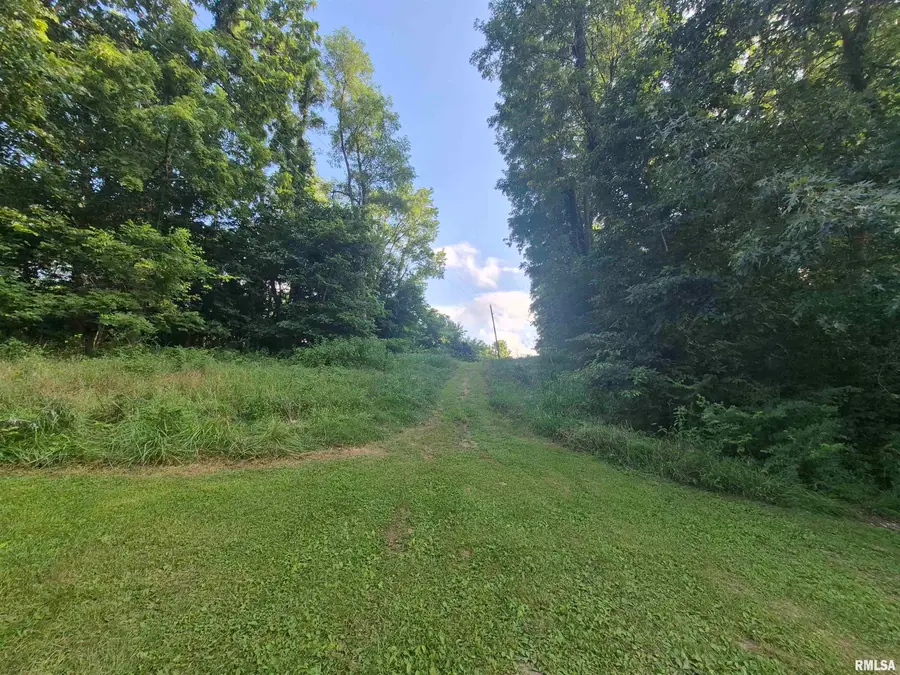 7505 Clayton Road, Virginia, IL 62691 - #2