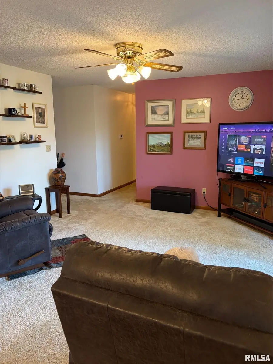 32 Jamestown Circle, Riverton, IL 62561-0000 - #3