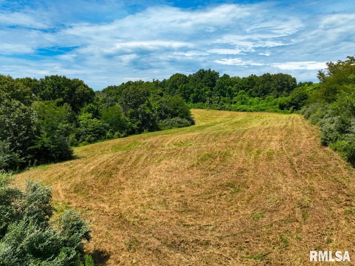 000 Robinson Hill Road, Makanda, IL 62958 - #1