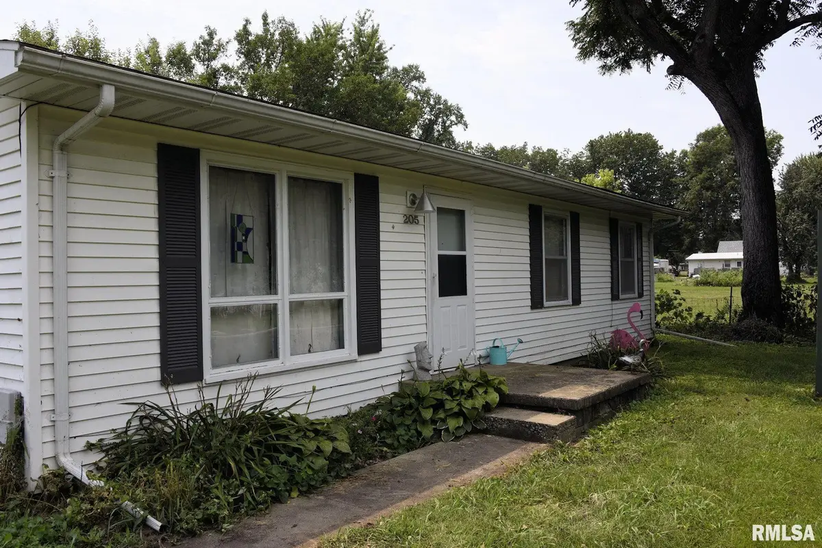 205 E Ann Street, Tallula, IL 62688 - #1