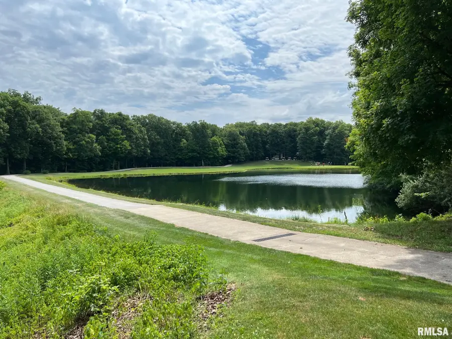 224 Beyers Lake Estate, Pana, IL 62557 - #2