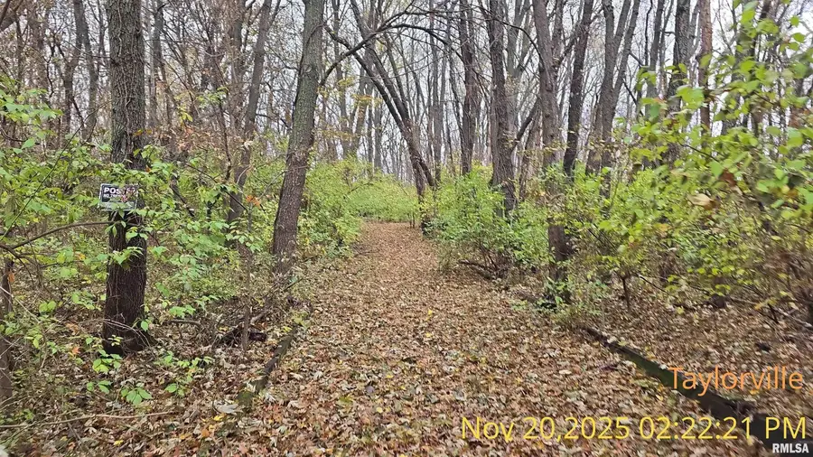 1020 N Snodgrass Street, Taylorville, IL 62568 - #3