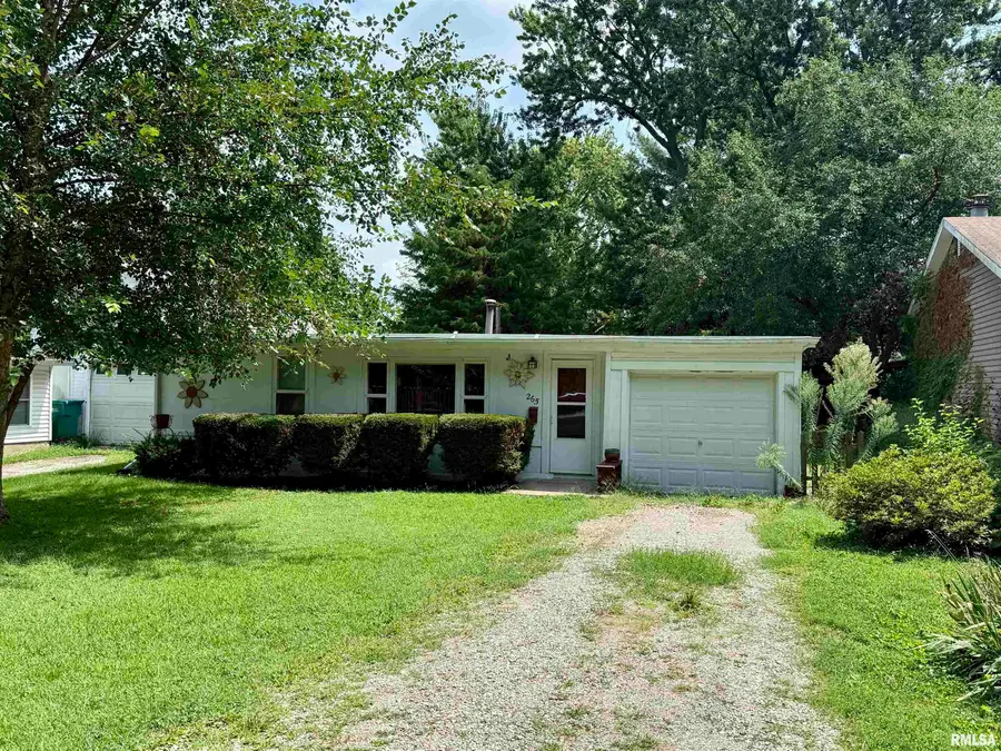 265 Silver Street, Galesburg, IL 61401 - #2