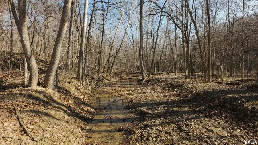 17217 N Dairy Farm Road, Smithfield, IL 61477 - #2