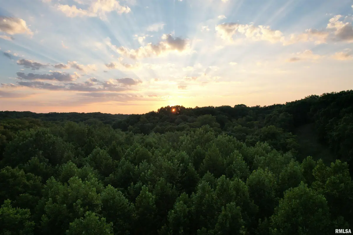 12110 Dutchman Road, Browning, IL 62624 - #1