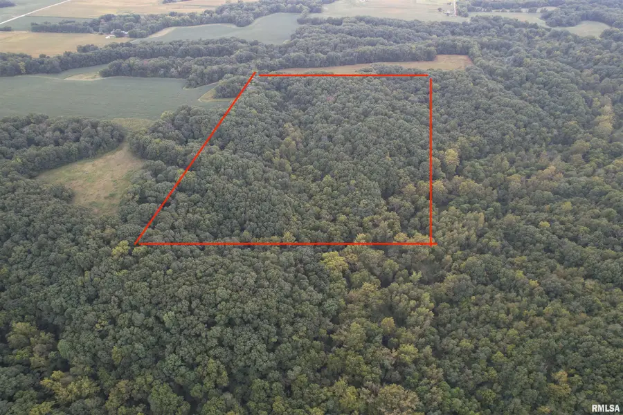 12110 Dutchman Road, Browning, IL 62624 - #2