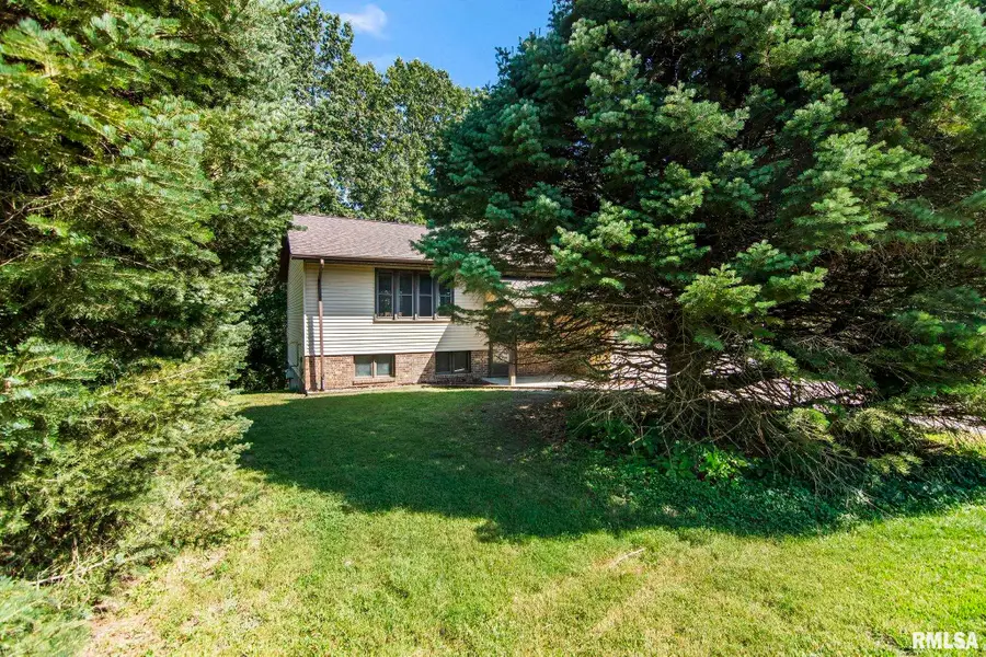 13824 Linn Drive, Athens, IL 62613 - #3