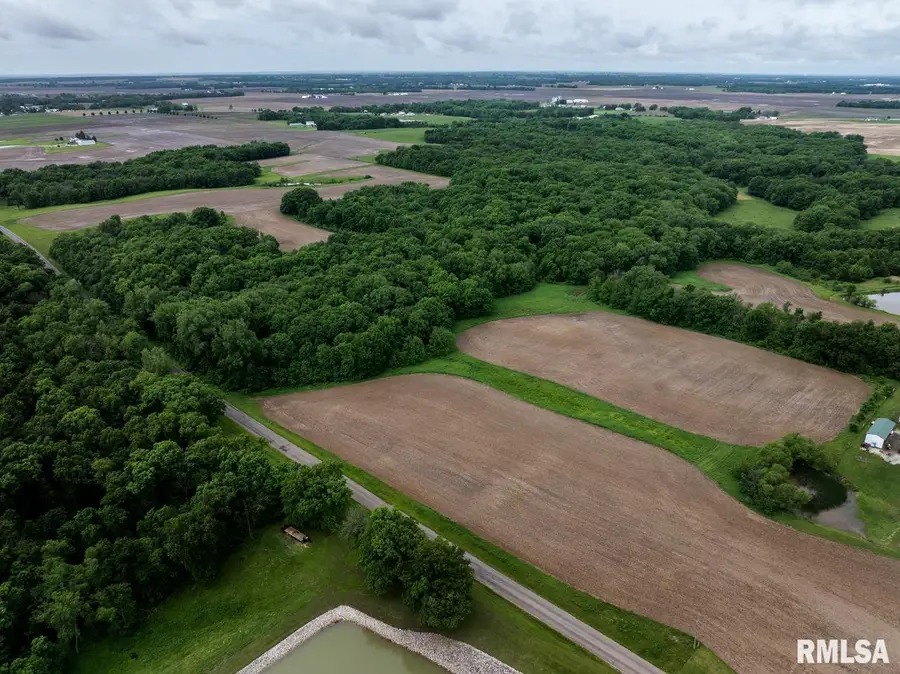 30 Acres North SE Section 08, Liberty Twp, Liberty, IL 62347 - #3