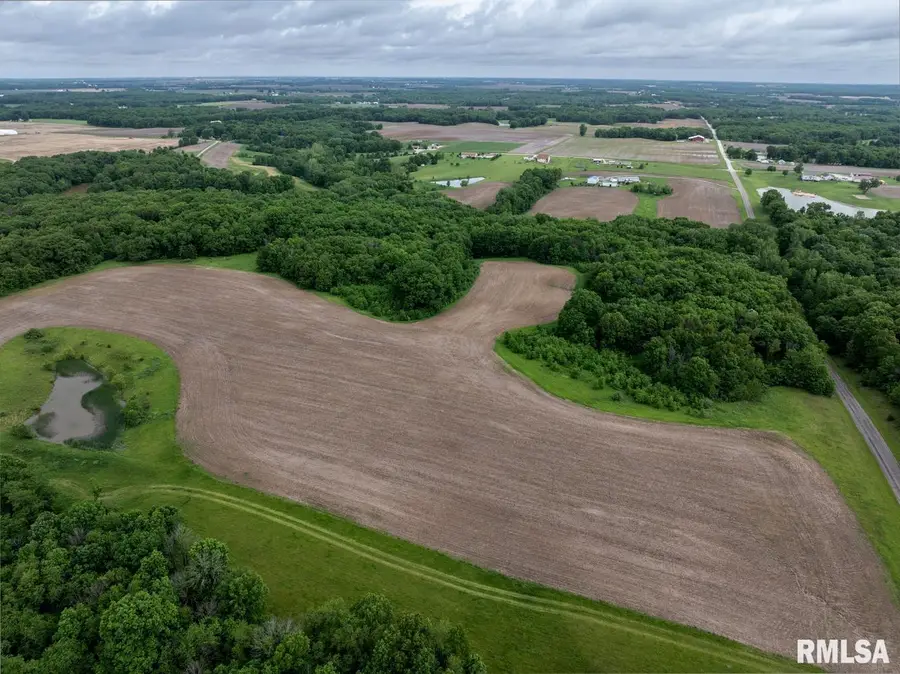 30 Acres South SE Section 08, Liberty Twp, Liberty, IL 62347 - #2
